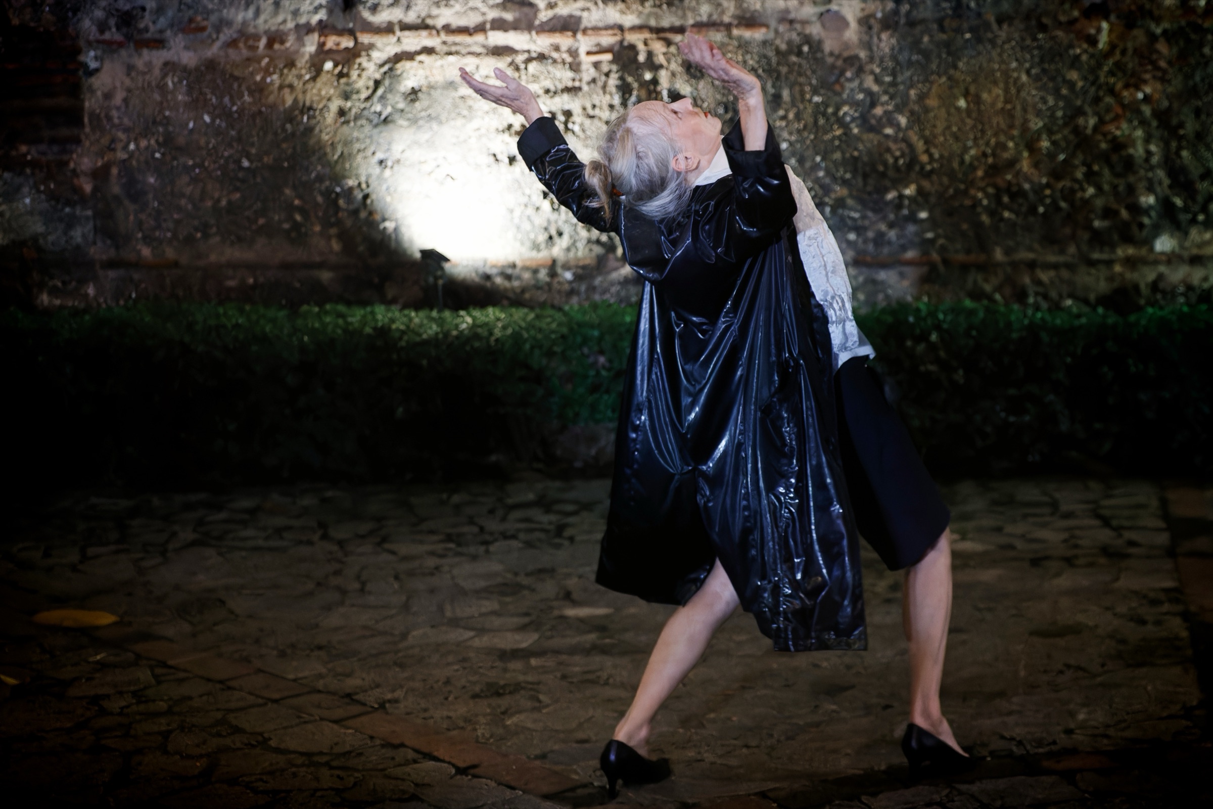 Morceaux choisis · Louise Bédard Danse