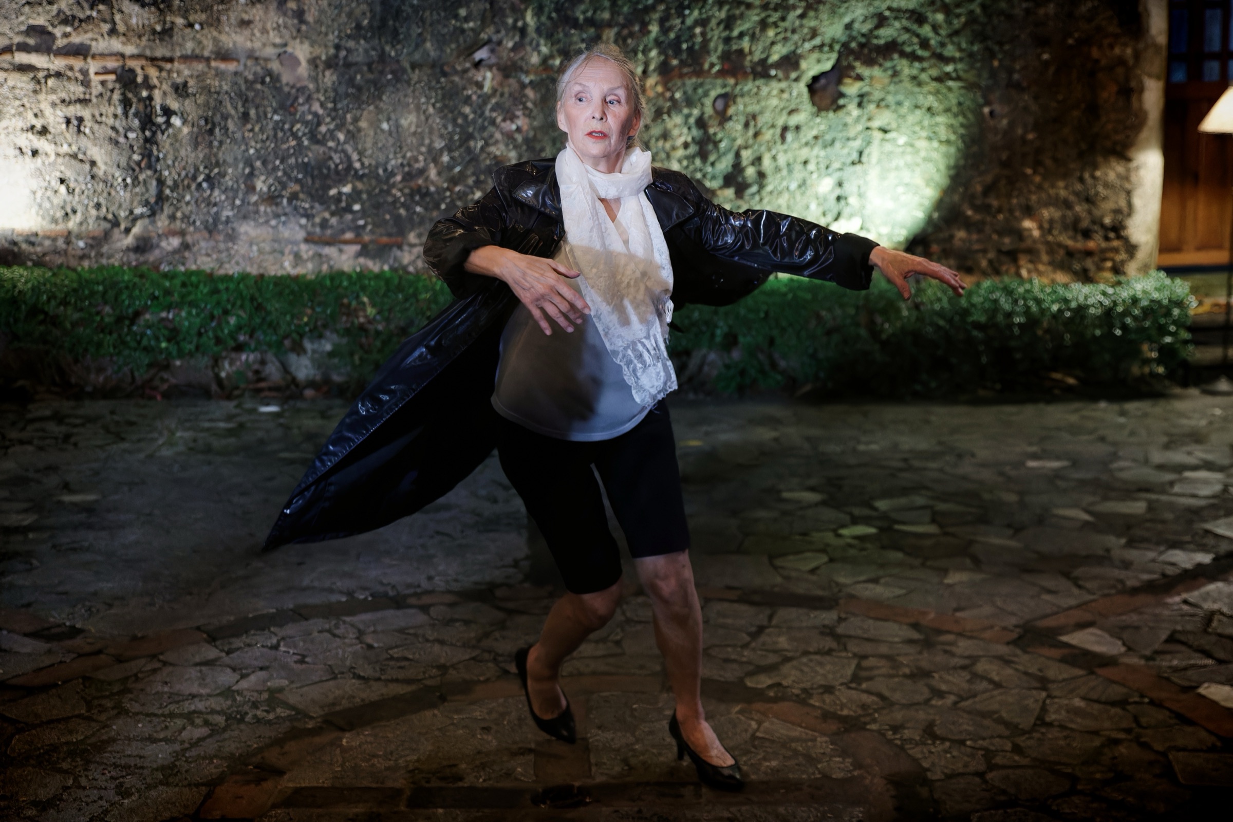 Morceaux choisis · Louise Bédard Danse